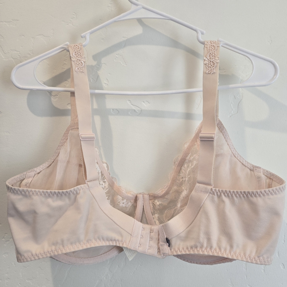 Pink Lace Bra - Picture 3 of 8
